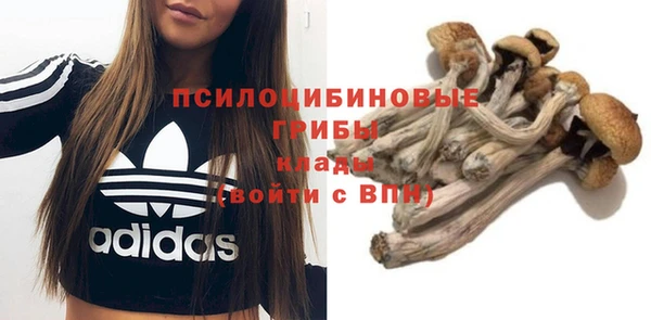 МДПВ Алексеевка