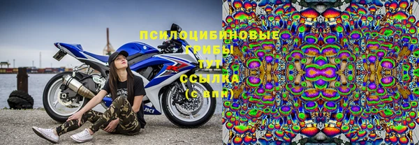МДПВ Алексеевка