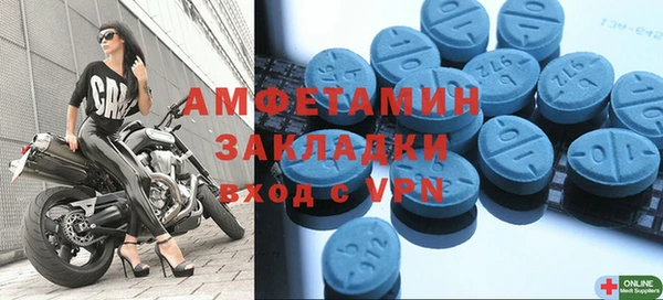 индика Алзамай
