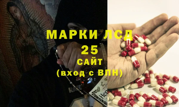 индика Алзамай