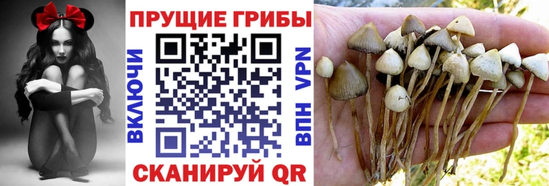цены   Ковылкино  MEGA зеркало  Псилоцибиновые грибы мухоморы 